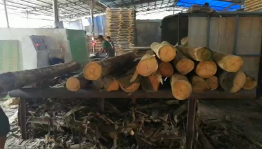 圓木多片鋸加工效率下降？多片鋸開機(jī)檢查3個(gè)地方